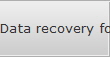 Data recovery for Brooklyn data